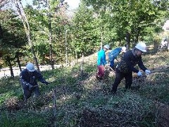 のこぎりを手に傾斜地での作業